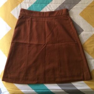 Above the Knee Professional Skirt