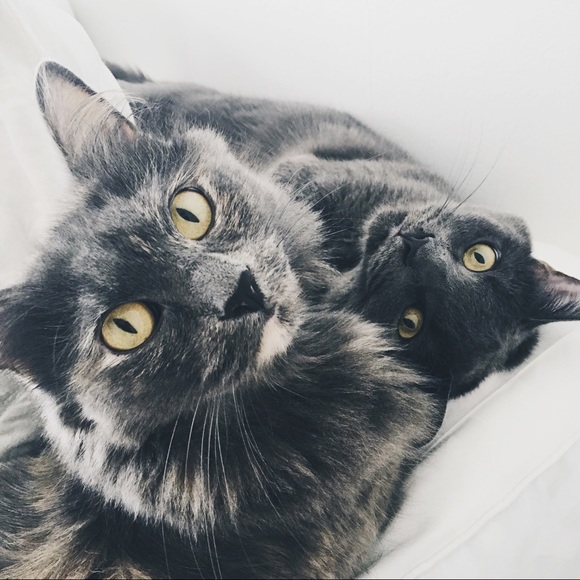 Suggested User ๐ฟ - Picture 6 of 7