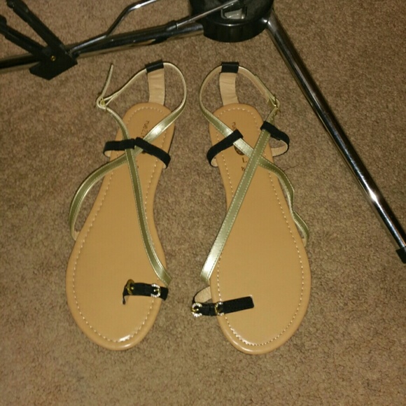 Sunday Brunch Bundle - Picture 2 of 4