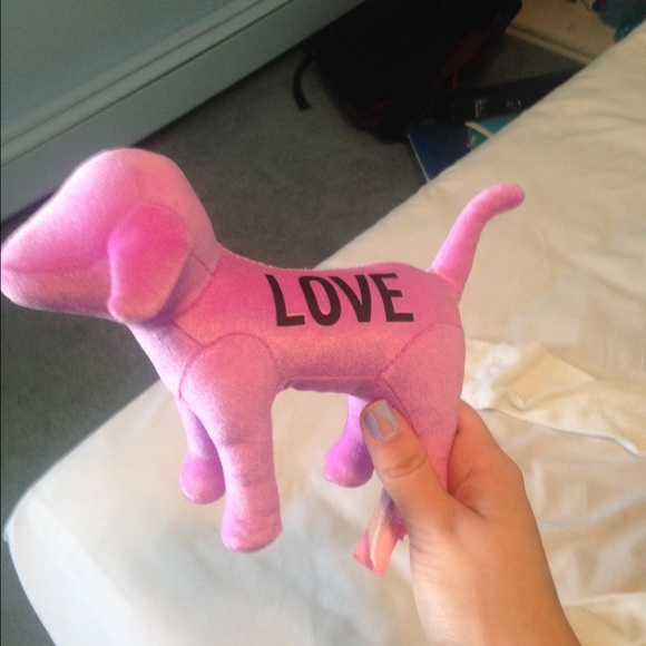 Love pink dog