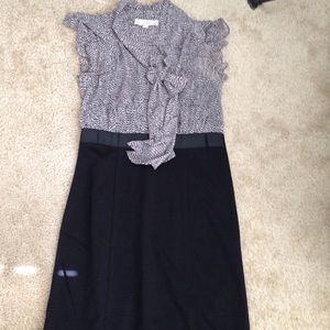 Ann Taylor Loft pencil skirt dress.