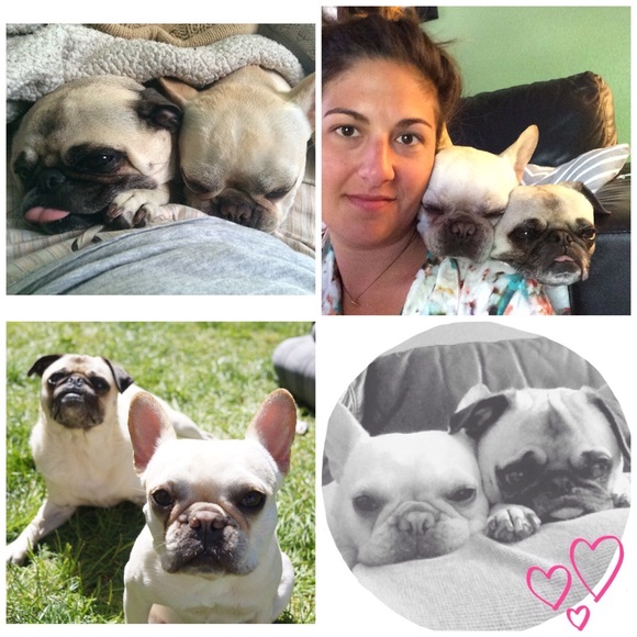 MEET YOUR SELLER/BUYER! - Picture 3 of 3