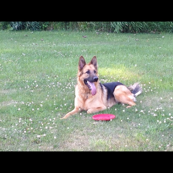 A bit about me.... - Picture 3 of 4