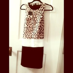 Leopard color-block dress