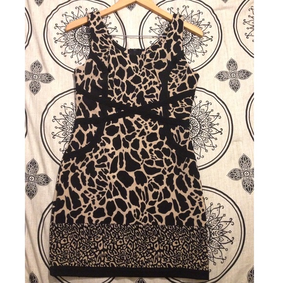 Animal Print Dress