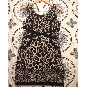 Animal Print Dress