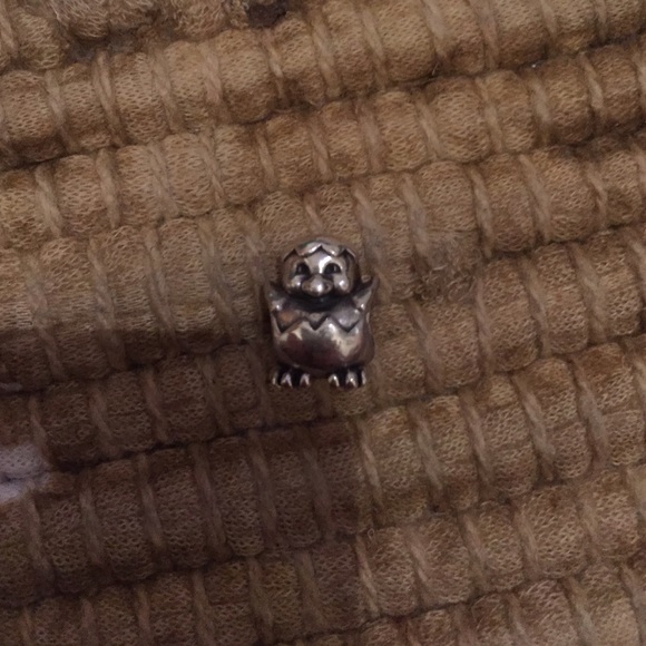 Pandora Charm
