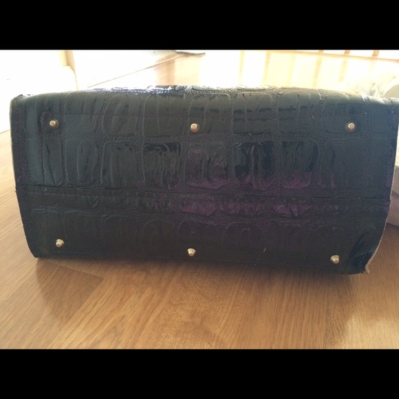 CHLOE🌼ADDITIONAL PICS! - Picture 3 of 4