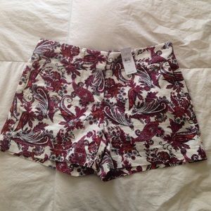 Loft shorts