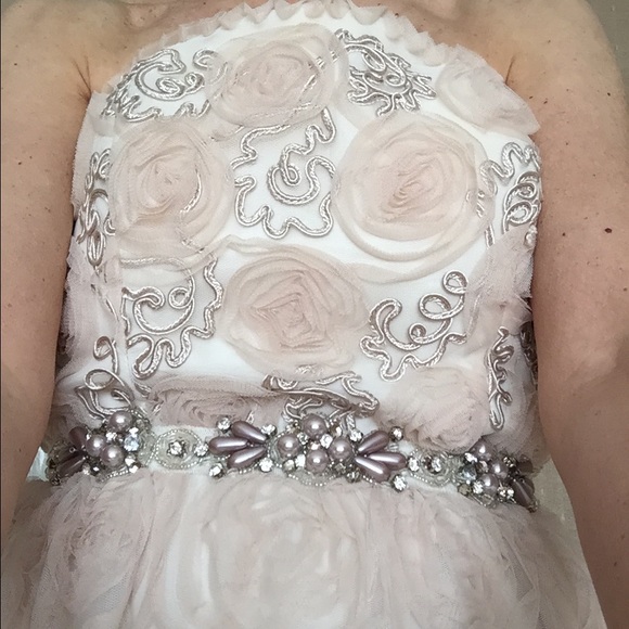 Additional pictures of Adrianna Papell Gown