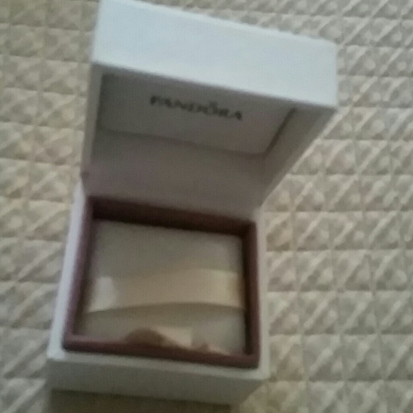 Pandora empty box for charms