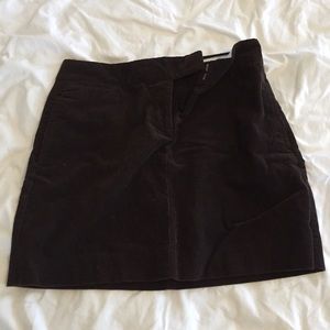 J. Crew Skirt
