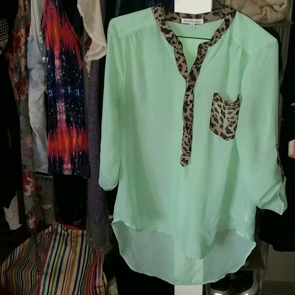 Mint & Cheetah Print Chiffon  Top