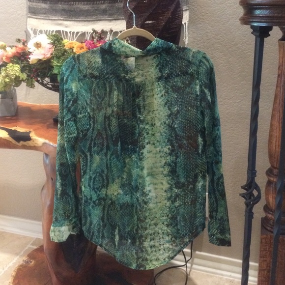 Sheer button up - Picture 2 of 2