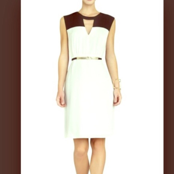 BCBG Color Block Dress