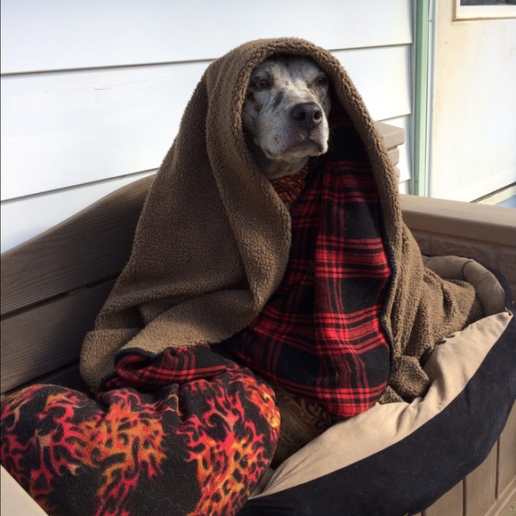 👉🏻 BUNDLE for a PRIVATE OFFER! - Picture 2 of 7