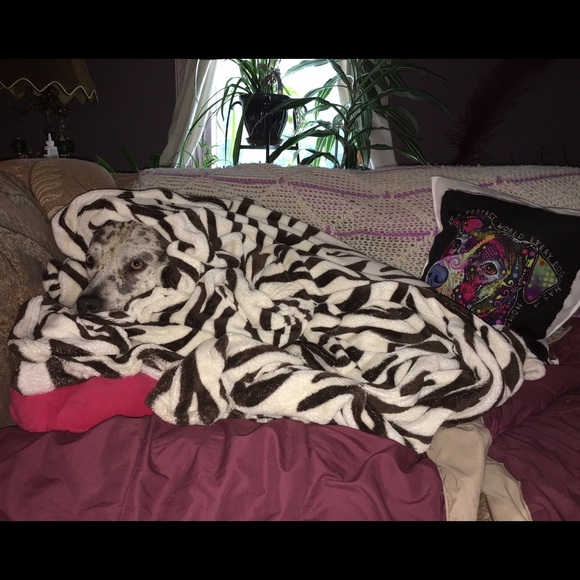 👉🏻 BUNDLE for a PRIVATE OFFER! - Picture 3 of 7