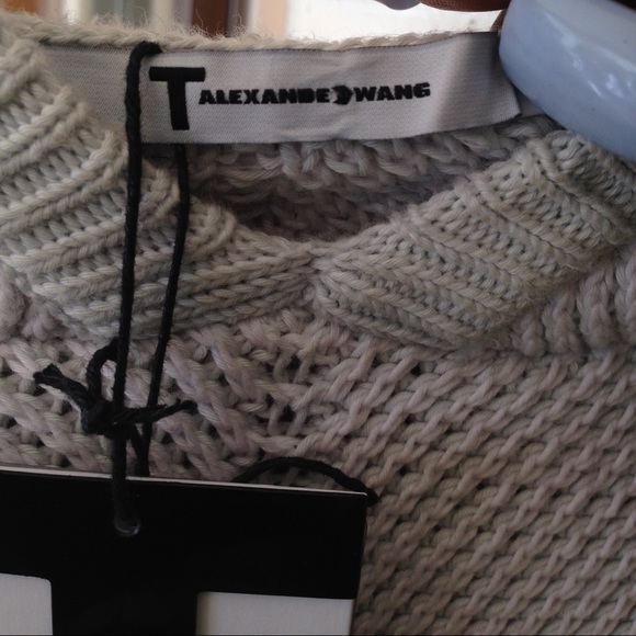 Alexander Wang Hoodie 💕 - Picture 2 of 2