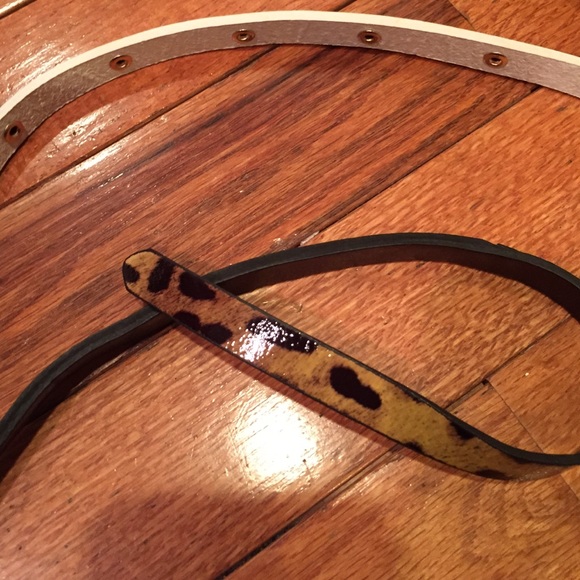 Belt! - Picture 3 of 4
