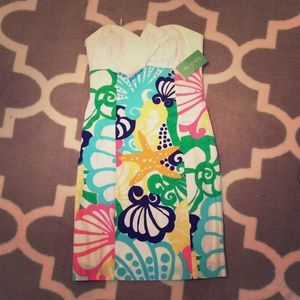 Lilly Pulitzer Krissa dress