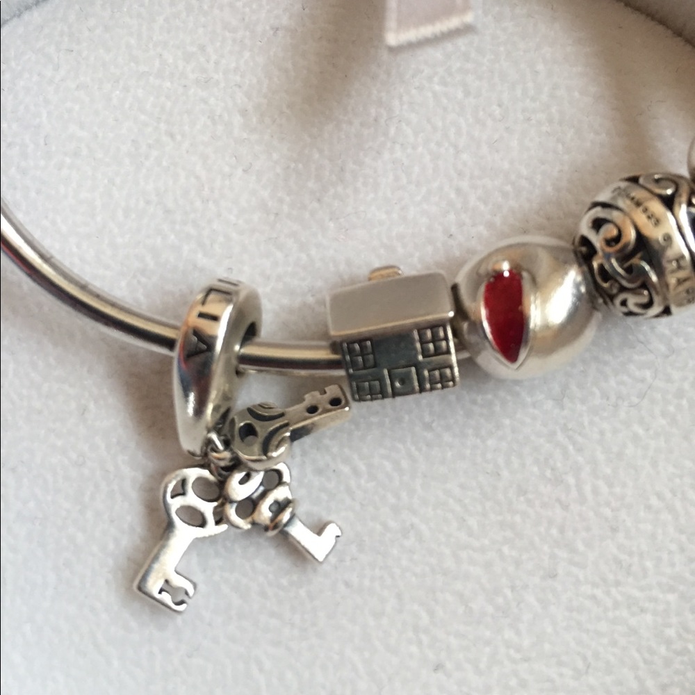 ❤️ SALE❤️SALE🌺. 🌾Chamilia charm bracelet🌾 - Picture 2 of 5