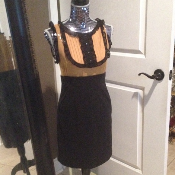 Dresses & Skirts - Business Dress