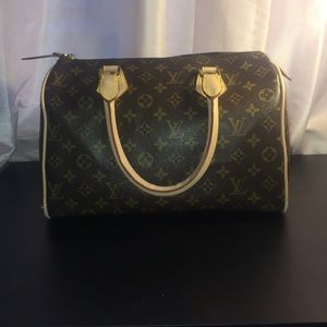 Fake Louis Vuitton Bag