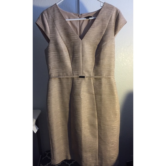 Ann Taylor Tan Dress