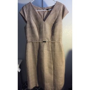 Ann Taylor Tan Dress