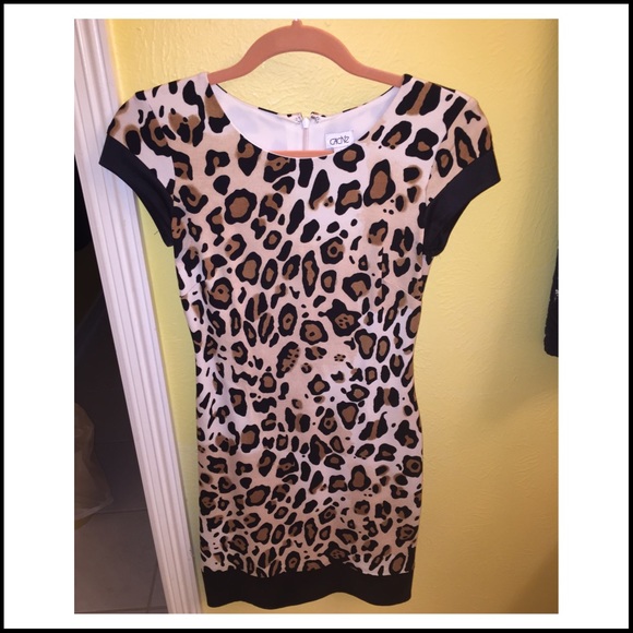 Cache Leopard Dress