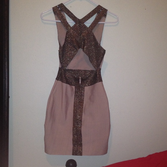Nude and brown sparkly dress. - Picture 2 of 4