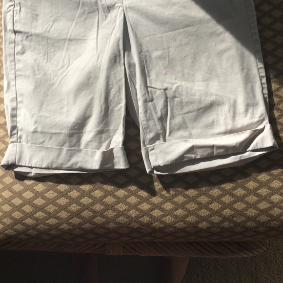 Ann Taylor shorts - Picture 4 of 4