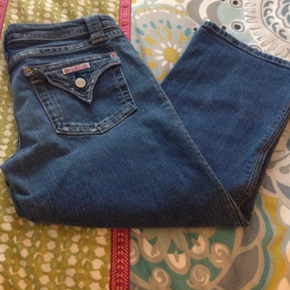Hudson crop denim