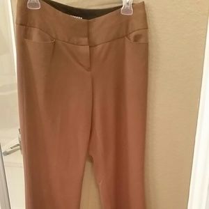 Express dress pant