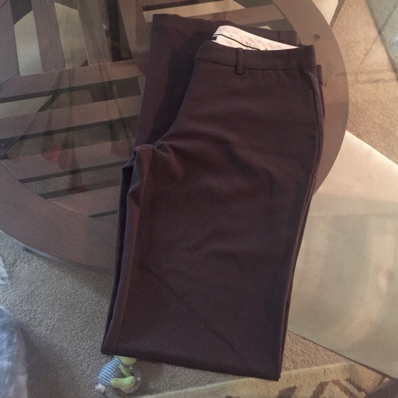 Starcity brown, dressy pants
