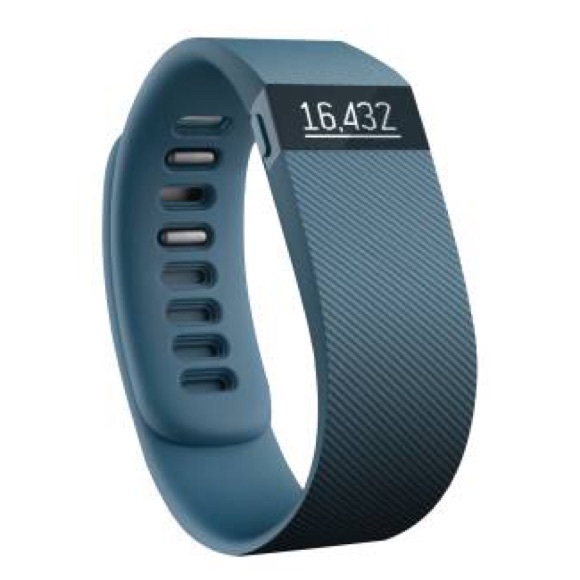 Brand new, never used FitBit! Gray/blue band. NWT!