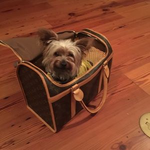 Louis Vuitton dog carrier ❤️❤️❤️