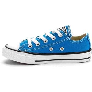 Blue Lowtop Converse