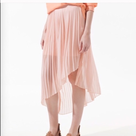 Pleated Zara skirt