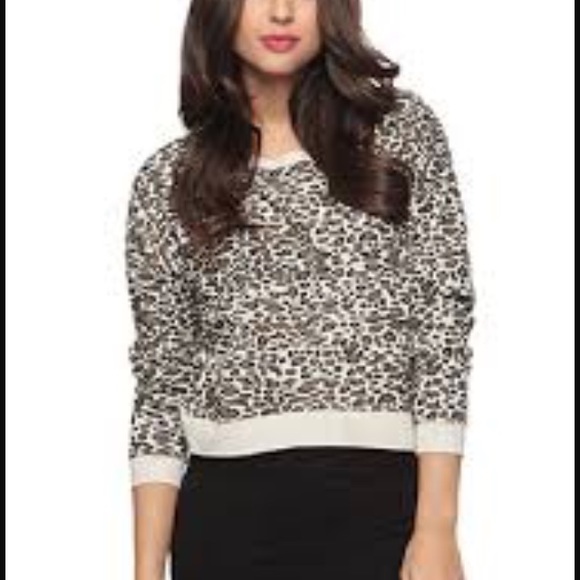 leopard print cropped top