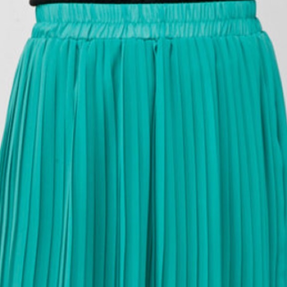 NWOT pleated skirt - Picture 3 of 4