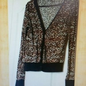 Bundle for @Francescs