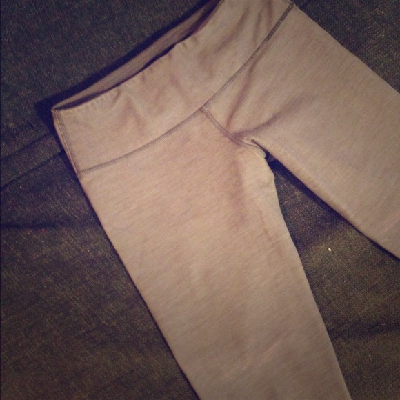 Heather Grey Wonder Under Crops