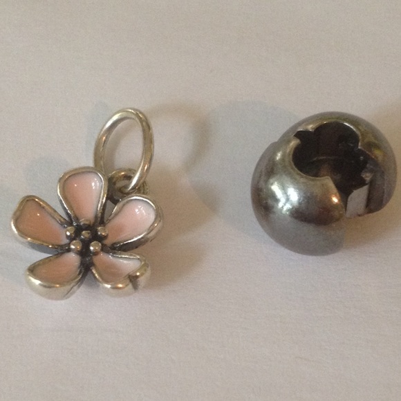 RESERVE Pandora Bundle Charm clip and Pendant. - Picture 2 of 2