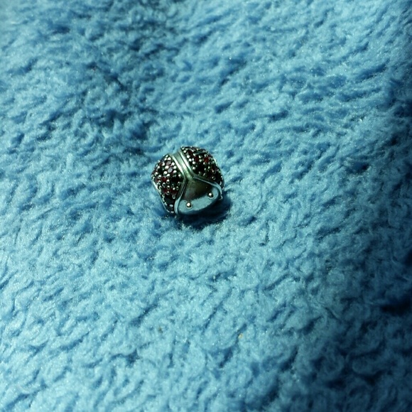 BNWOT, 2015 Pandora charm