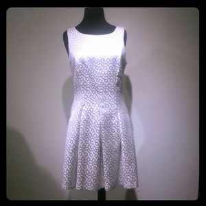 Kensie White/Silver Polkadot Dress