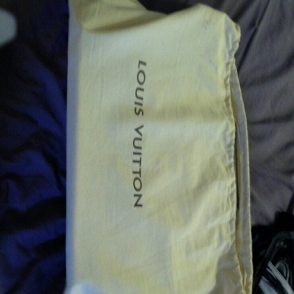 Louis Vuitton large dustbag
