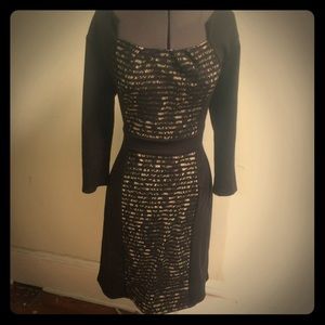 Black and taupe lace dress