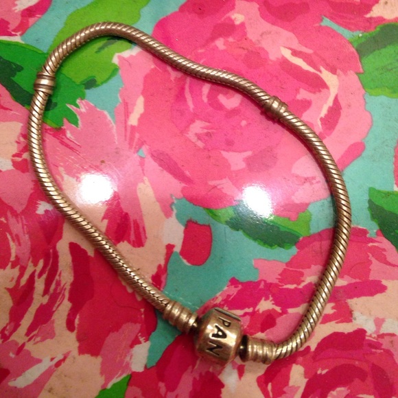 Pandora bracelet