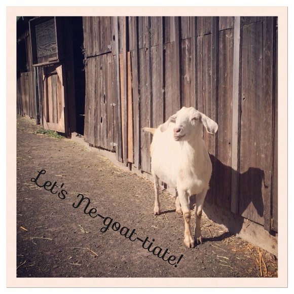 Sunshine the Goat agrees!!